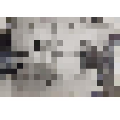 Фотография. Первые помошники для нянечки