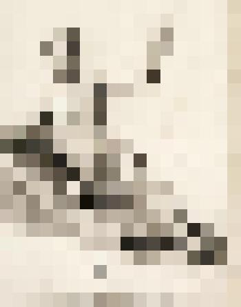 Полулежащий натурщик