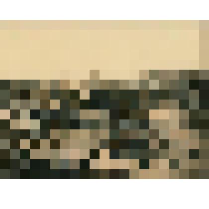 Фото ч/б (фотокопия). Панорама Базарной площади нам ул.Архангельской, нач.XX века