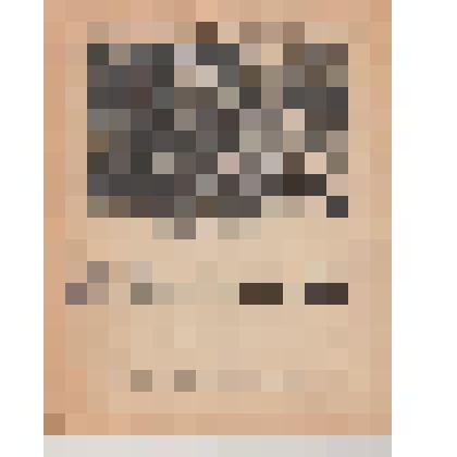 Брошюра. Друзья-товарищи. Рассказы