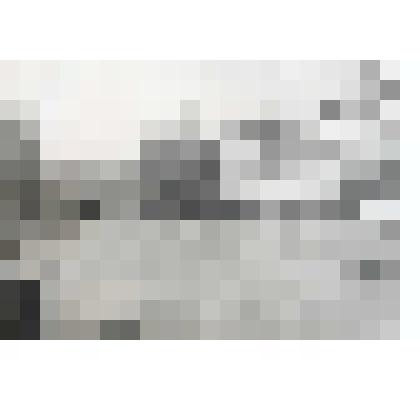 Фотография. Демонстрация в п. Сосновское