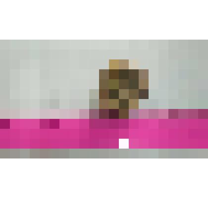 Позвонок костной рыбы