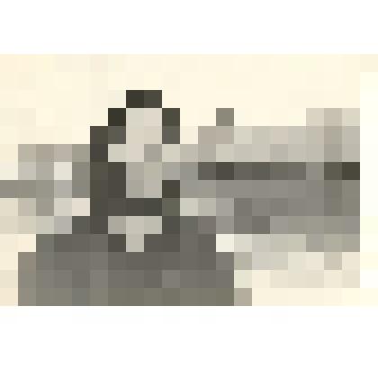 Фотография: Кудрявцева Зинаида Николаевна, доярка колхоза "Рассвет" Каменского района Алтайского края