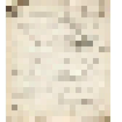 Телеграмма № 545 в г. Чердынь В.Н.Алину от Василия Андреева из г. Петербурга, 18.12.1905 г