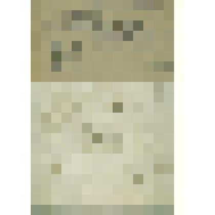 Реестр докладной  Сольвычегодского  Духовного правления по разным вступившим указам и делам