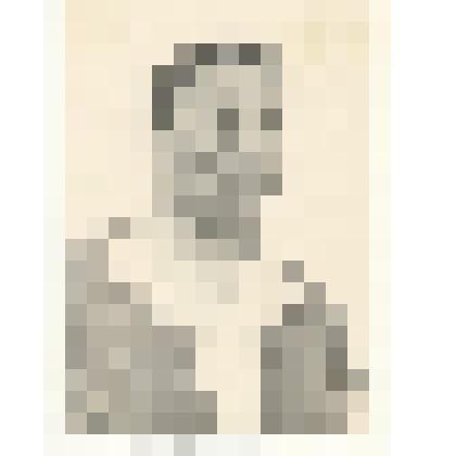 Фотография: Алексеева Е.Ф., бригадир овощеводческой бригады Кировского отделения