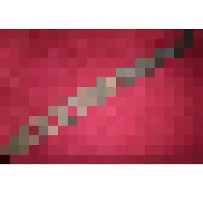 Крюк для подвешивания котла над очагом