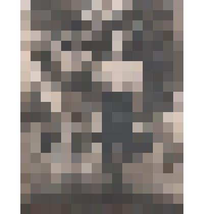 Фото черно-белое