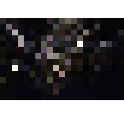 Диапозитив. Парк. (323)