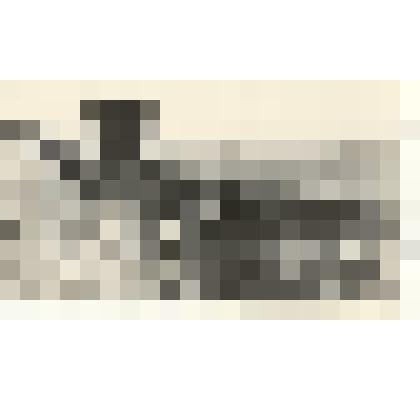 Фотография: зябливая пахота с одновременным прикатыванием кольчатыми катками и боронованием в Чапаевском отделении совхоза "Октябрь" Каменского района Алтайского края