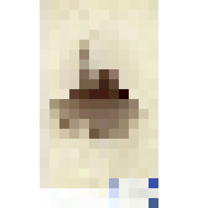 Фотография черно-белая. Лукандер Рейнгольд Иванович (Эрих Юганович)