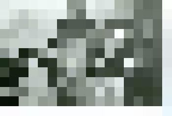 Фотография. Ю.Н. Рерих в Кяхтинском краеведческом музее