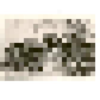 Фотография: корпус городской больницы в загородной роще г.Камень-на-Оби Алтайского края. Сгорел в 1981 г