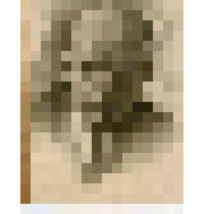 Фотография. Владимир Ильич Ленин