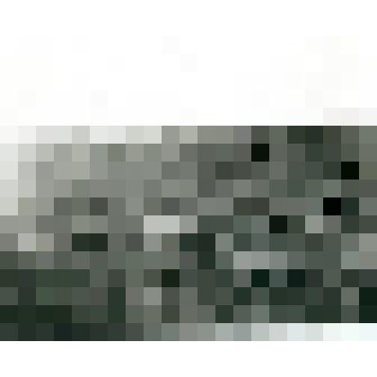 Фотография. Плавник на косе у устья р. Нудмаль