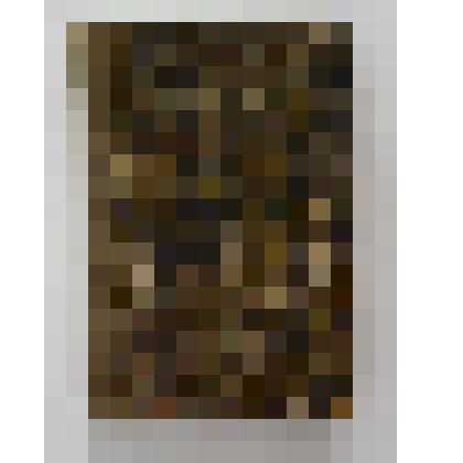 Книга. Курс лесоводства для лесных школ и для лесовладельцев и управляющих имениями. Типография А.Ф.Маркса