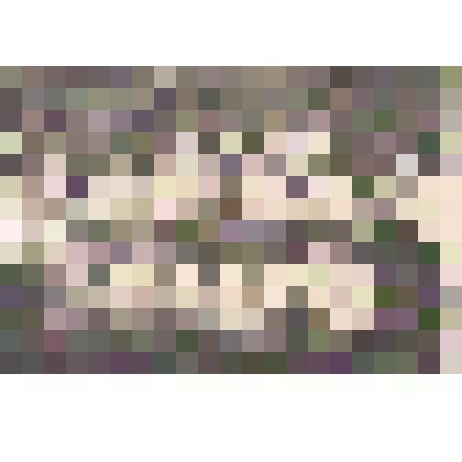 Фотография выпускников Шелаболихинской средней школы