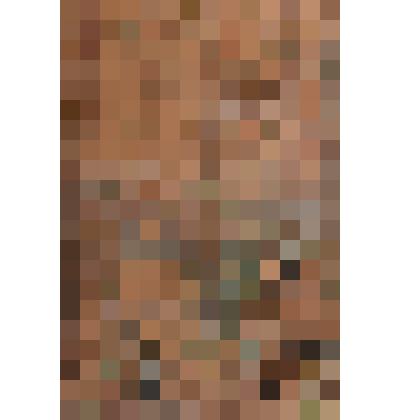 Отрок Варфоломей