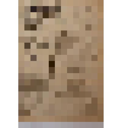 Газета "Коммунизмга". №19, 1945 год