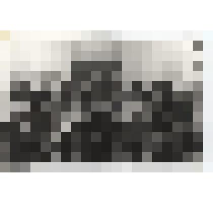 Фотография. Гребенщиковой Анна Васильевна в группе с однополчанами