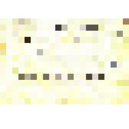 Документ. Визитная карточка Ишлинского Александра Юльевича. Печать