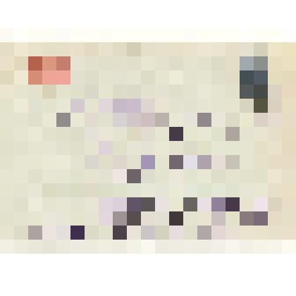 Письмо. Шинберг Александр Яковлевич. Адресат: Кассиль Лев Абрамович, г. Москва - г. Москва. Авторизованная машинопись