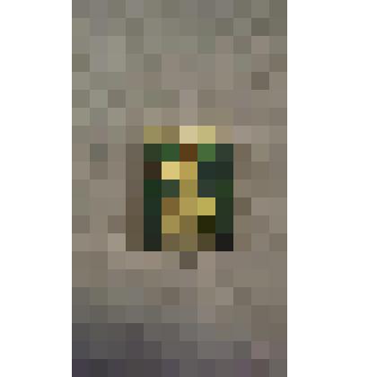 Значок  "Грязовец"