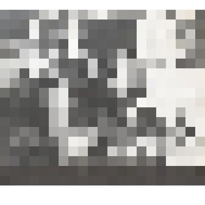 Л.Н.Толстой среди крестьян в Троицын день