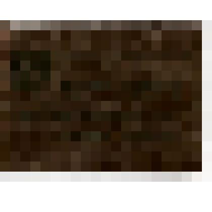 Фотография. Карнаухов Степан Григорьевич + удостоверение(Д126)