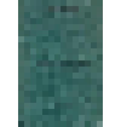 Брошюра. Материалы совещания изобретателей и рационализаторов по вопросам диагностики, лечения и реанимации в сердечно-сосудистой хирургии. - Иркутск, 1981