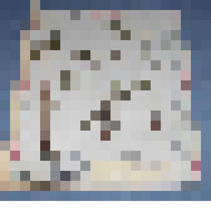 Ботаническая коллекция. Герань белоцветная, Ермаковский район, с.Григорьевка, гора Сохатик