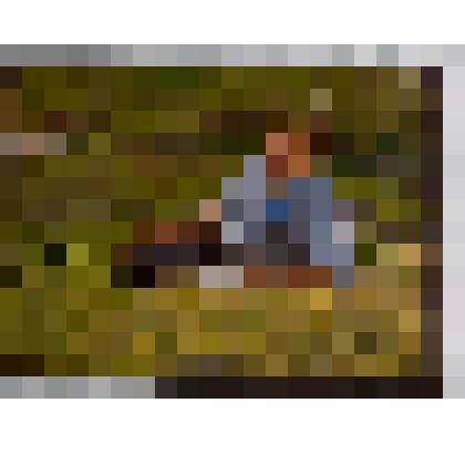 Изяслав Всеволодович Чистяков в поле. Этюд