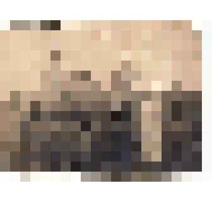 Ф/чб. Сестры Цепковы Лиза (верхом на верблюде) и Маруся на хуторе (на заднем плане саманные кирпичи). Покровская сл.  Нач. ХХ в