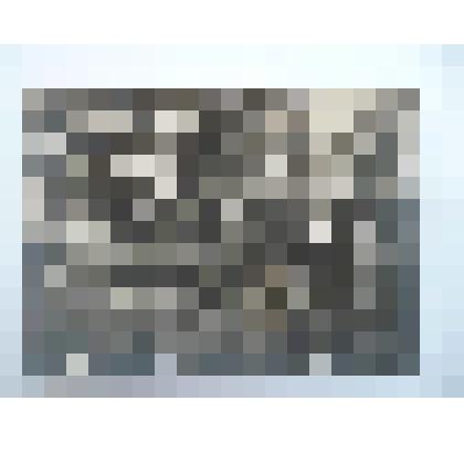 фотография. Докудовский Е.Г