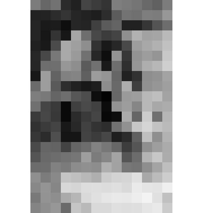 Фото ч/б. Дашков Э.И. потрошит катрана. Бетта, октябрь 1978 г