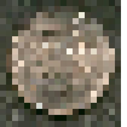 Монета 5 рублей