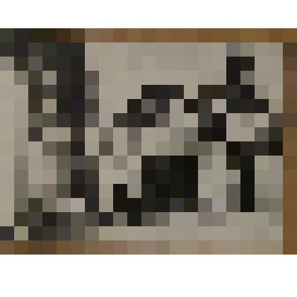 ФОТО. ХЛЕБ-СОЛЬ ДЕЛЕГАЦИИ ИЗ ГОСХОЗА "КИШКУНХОЛАЖ" В СОВХОЗЕ  "НИЖНЕГОРСКИЙ"