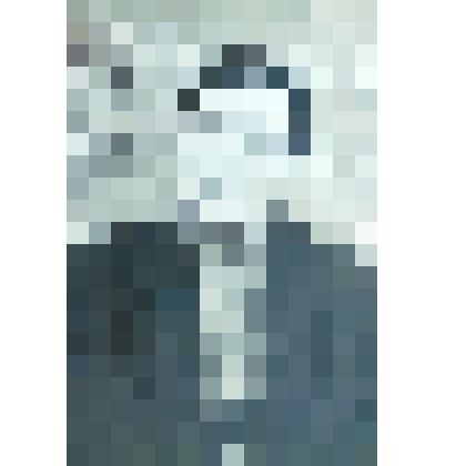 Фотография: Постникова Евгения Максимовна, труженица тыла в годы ВОВ. Копия