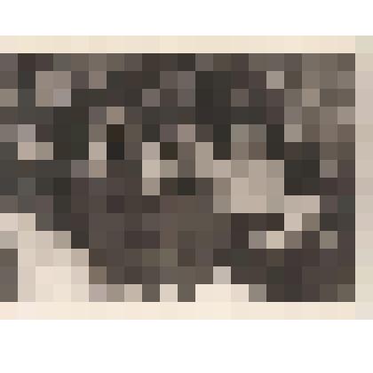 Фотография. Кассиль Д.Л., Кассиль В.Л., Собинова (Мухина) Н.И., неизвестные