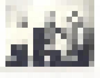 Фотография. Синенко В.И., Труш С.Я., Труш П.Я