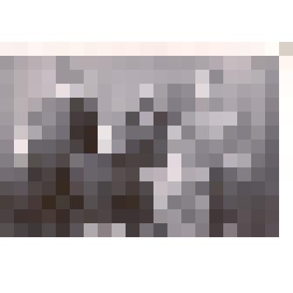 Фотография: совет ВНО г.Баку. Среди присутствующих Подшивайлов Денис Протасович