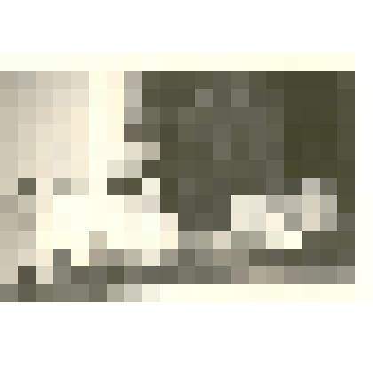 Фотография: районное совещание колхозников. Выступает директор лесхоза Савинов