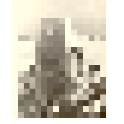 Фотография: памятник в ознаменование десятилетия Октябрьской революции в г.Камне-на-Оби Алтайского края