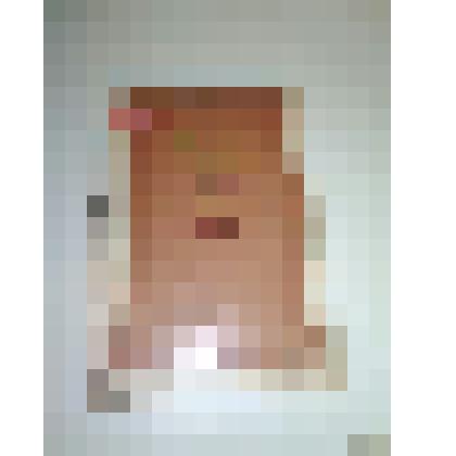 Книга. Сказатели. Сэсэны. Просветители. Составитель Шарипова И.А