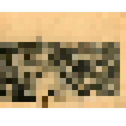 Лист. Вид города с Карантинной улицы. Из альбома "Виды Севастополя"