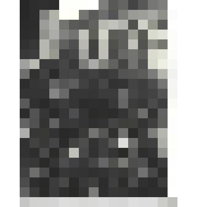 Фотографии. Фото ч/б. Бойцы ведут бой на окраине Новороссийска, 1943 г