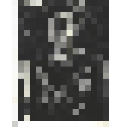 Фотографии. Фото ч/б. Четырежды Герой Советского Союза, Маршал Советского Союза Георгий Константинович Жуков