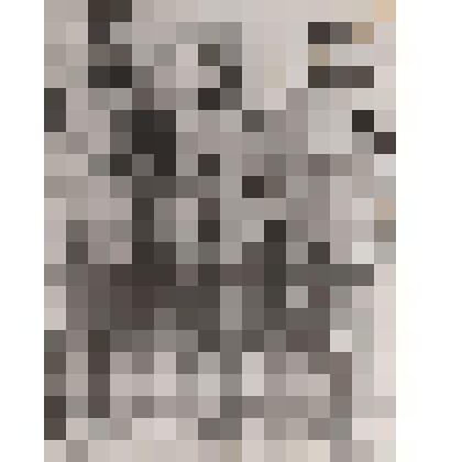 Фотография. Двойнишников Николай Григорьевич(стоит 1-й справа)