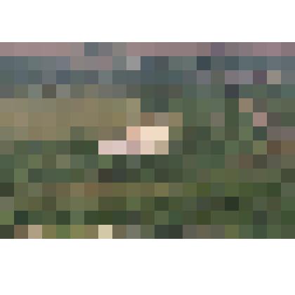 Фотография цветная. Компрессорная станция. п. Пунга