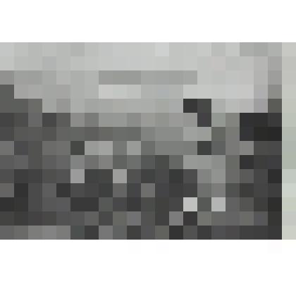 Наполеон при Ваграме